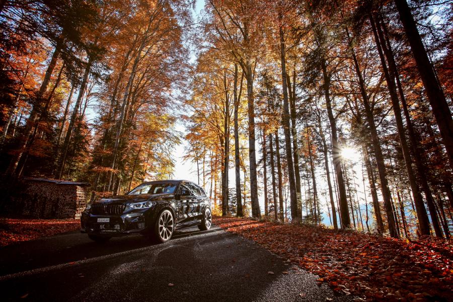  BMW X3 M Competition Line by dAHLer (F97) 2019 года  (фото 4 из 34)